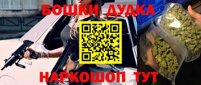 гидра Берёзовский