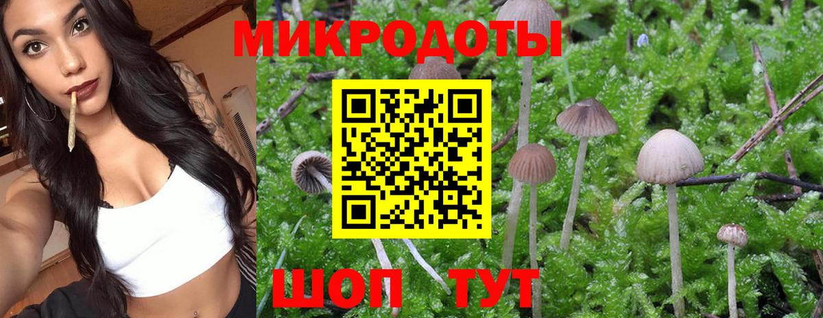 Псилоцибиновые грибы прущие грибы  Вход с VPN  Камышлов 